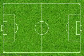 全国春季游泳锦标赛收官 叶诗文收获一金